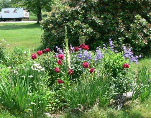 1450 Harpswell Neck Road Harpswell, ME 04079 - Photo 3 of 6 Yard/Garden.