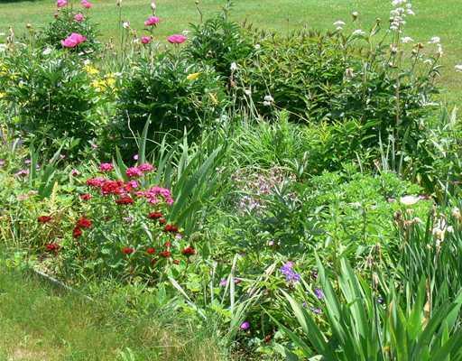 1450 Harpswell Neck Road Harpswell, ME 04079 - Photo 4 of 6 Yard/Garden.