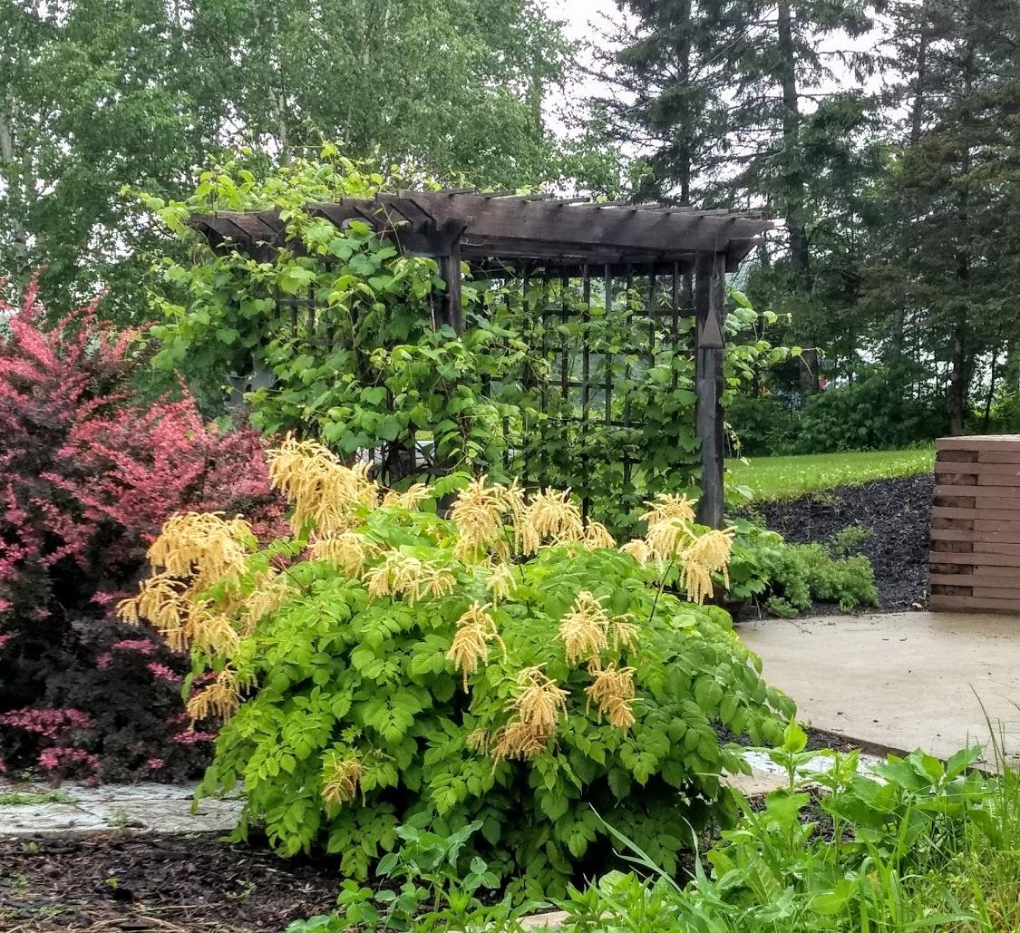 575 Haystack Road Mapleton, ME 04757 - Photo 26 of 36 trellis