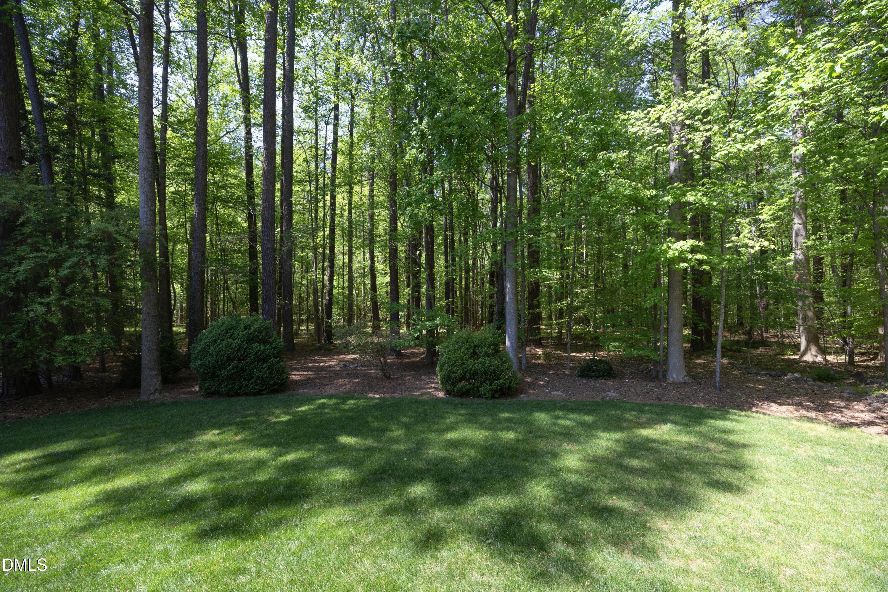 1116 Berwyn Way Raleigh, NC 27615 - Photo 43 of 51 42Back