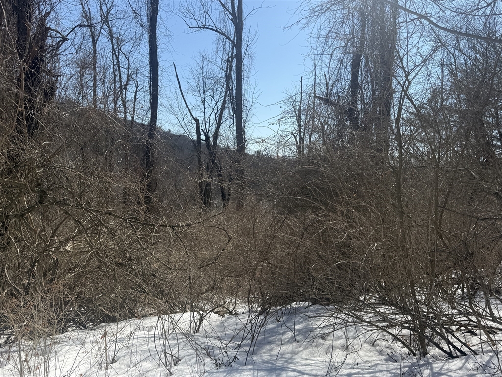 2 Spring Street Hardwick, MA 01031 - Photo 3 of 5