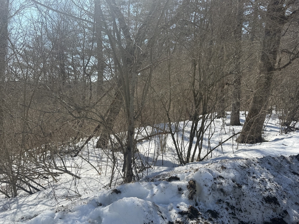 2 Spring Street Hardwick, MA 01031 - Photo 4 of 5