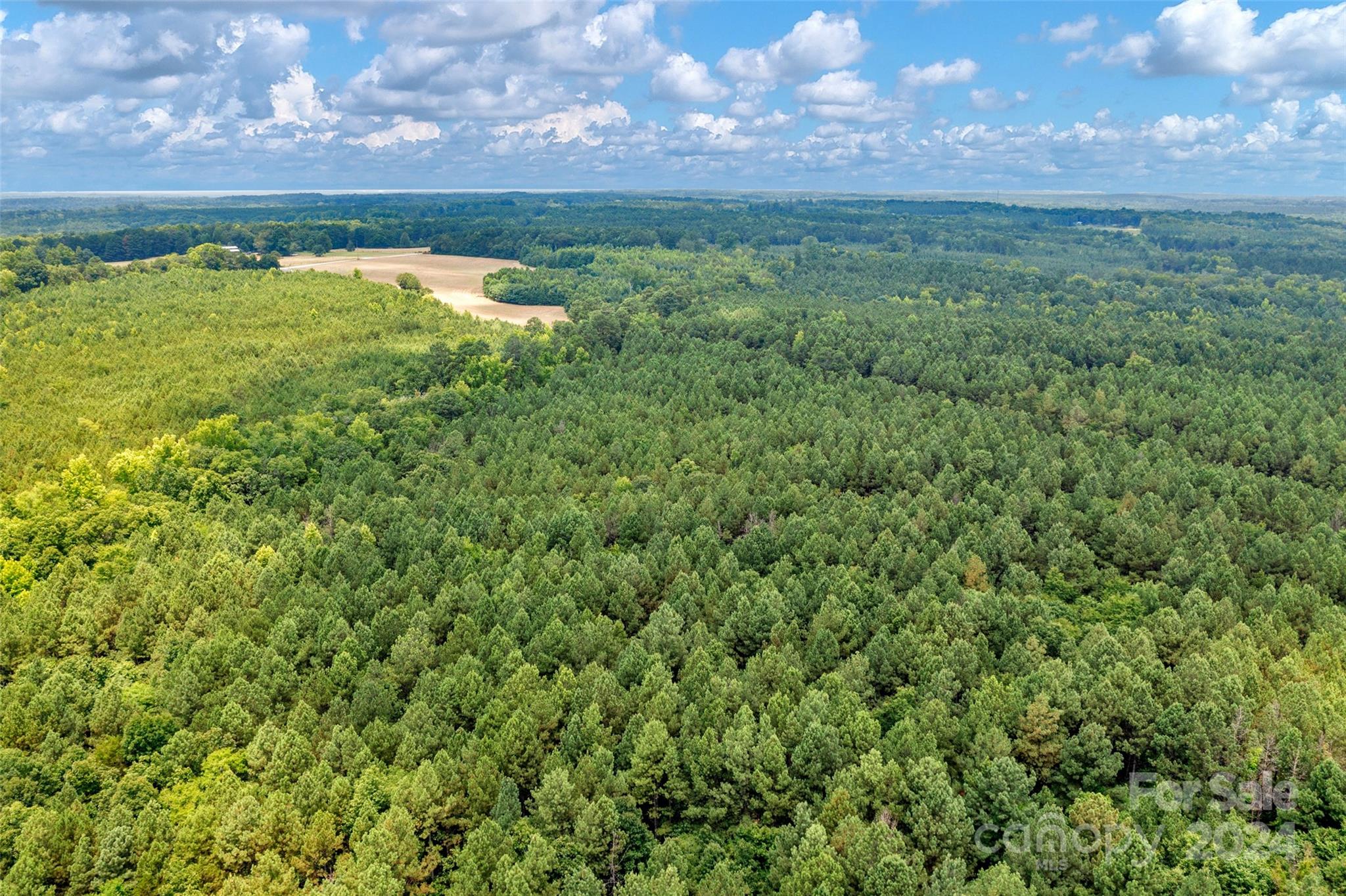 0 William Martin Road, Unit 5 Richburg, SC 29729 - Photo 11 of 30 Gallery Image 11