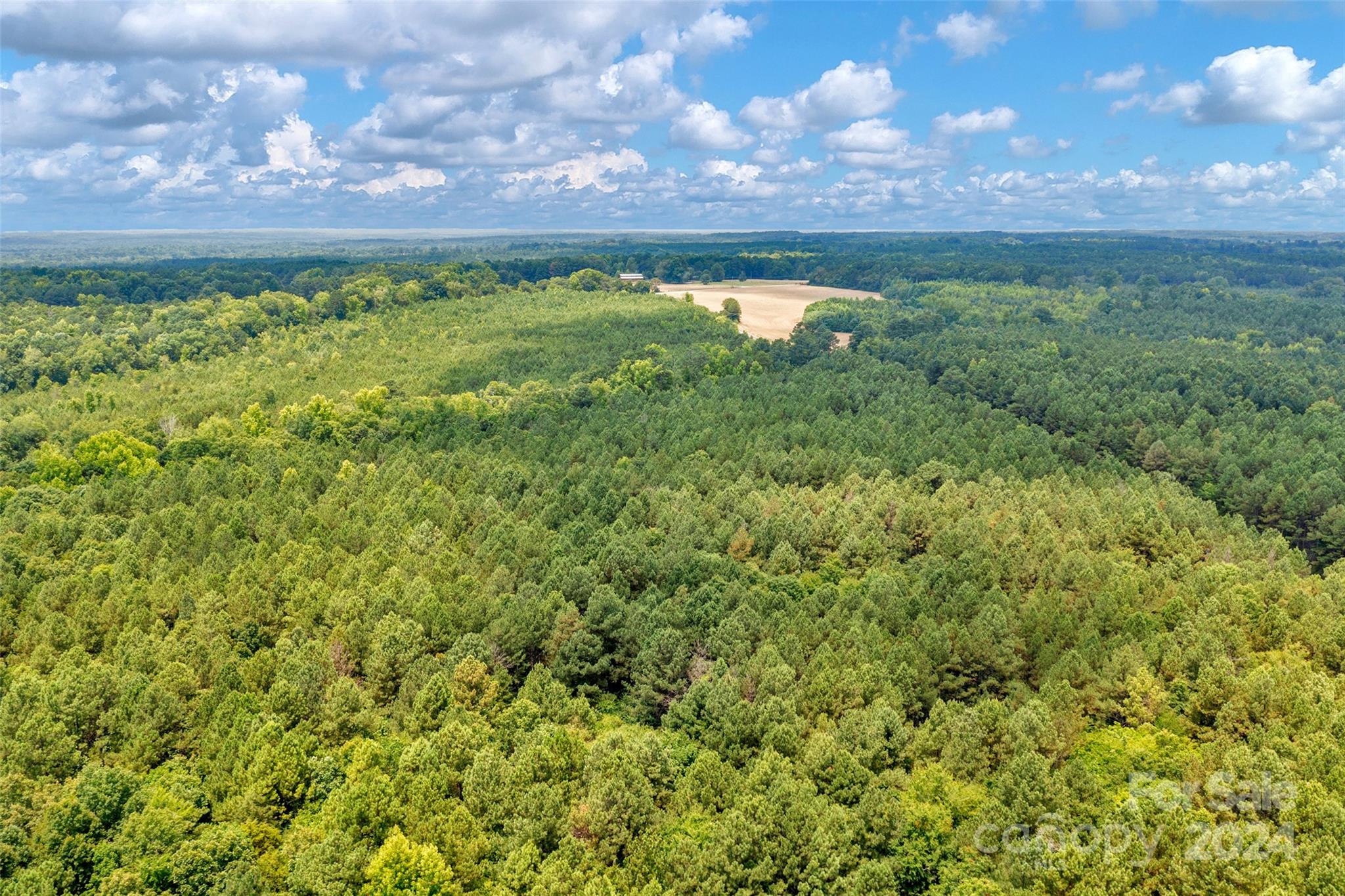 0 William Martin Road, Unit 5 Richburg, SC 29729 - Photo 12 of 30 Gallery Image 12
