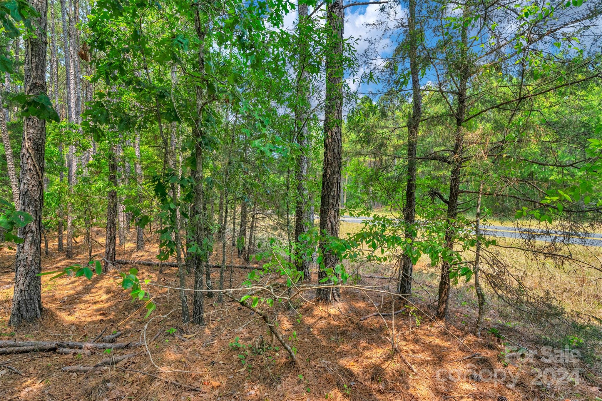 0 William Martin Road, Unit 5 Richburg, SC 29729 - Photo 13 of 30 Gallery Image 13