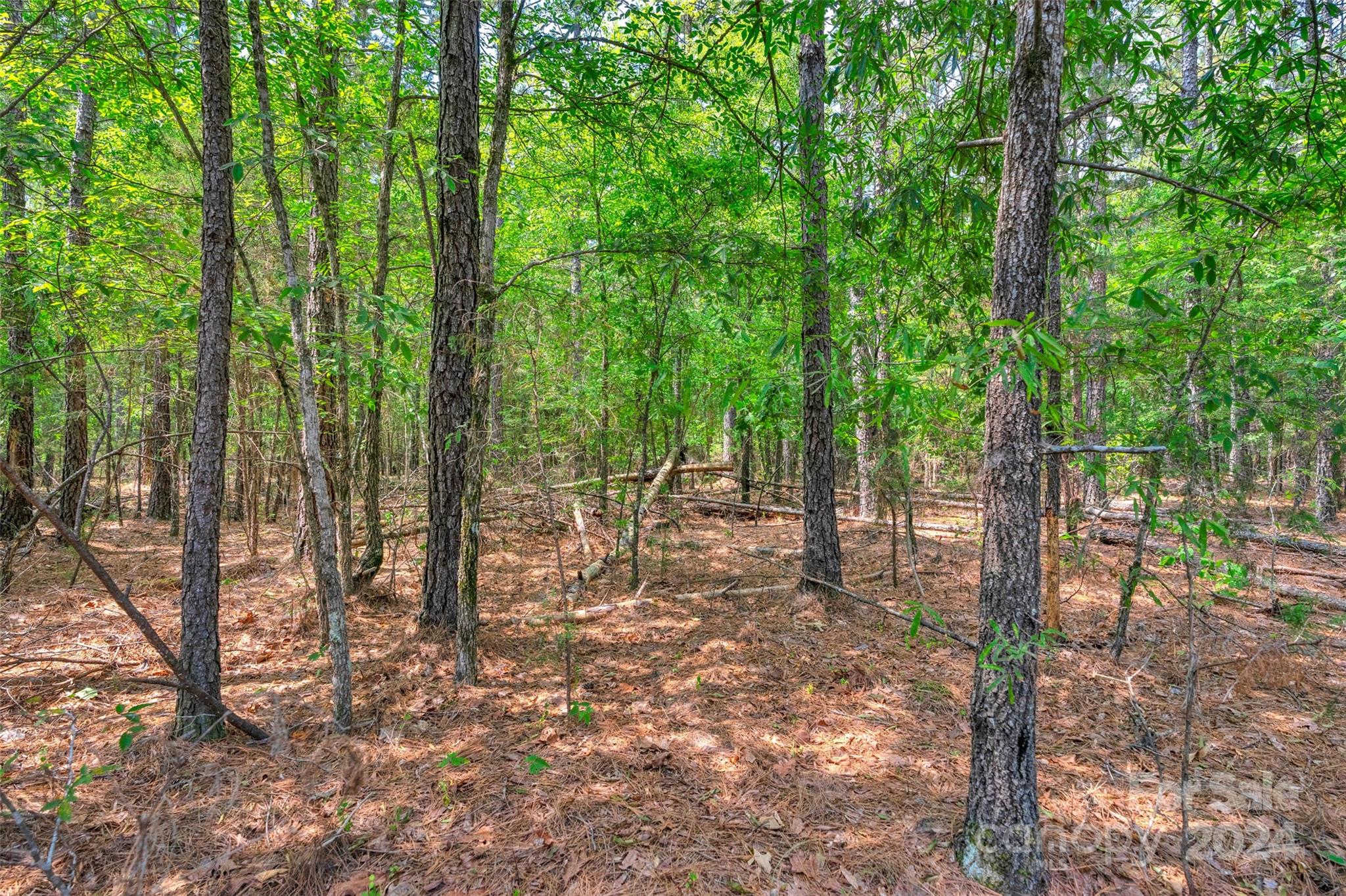 0 William Martin Road, Unit 5 Richburg, SC 29729 - Photo 14 of 30 Gallery Image 14