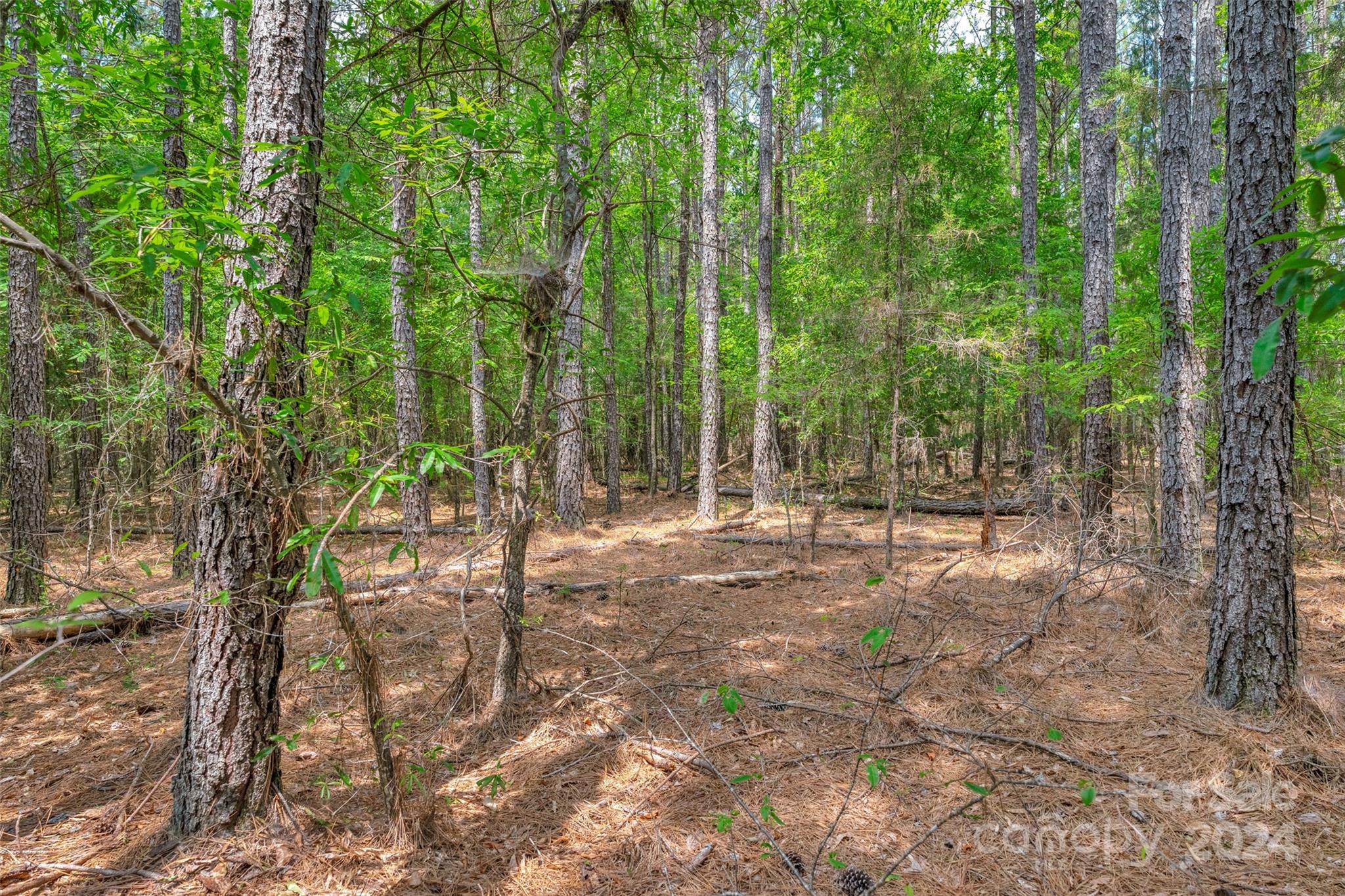 0 William Martin Road, Unit 5 Richburg, SC 29729 - Photo 15 of 30 Gallery Image 15