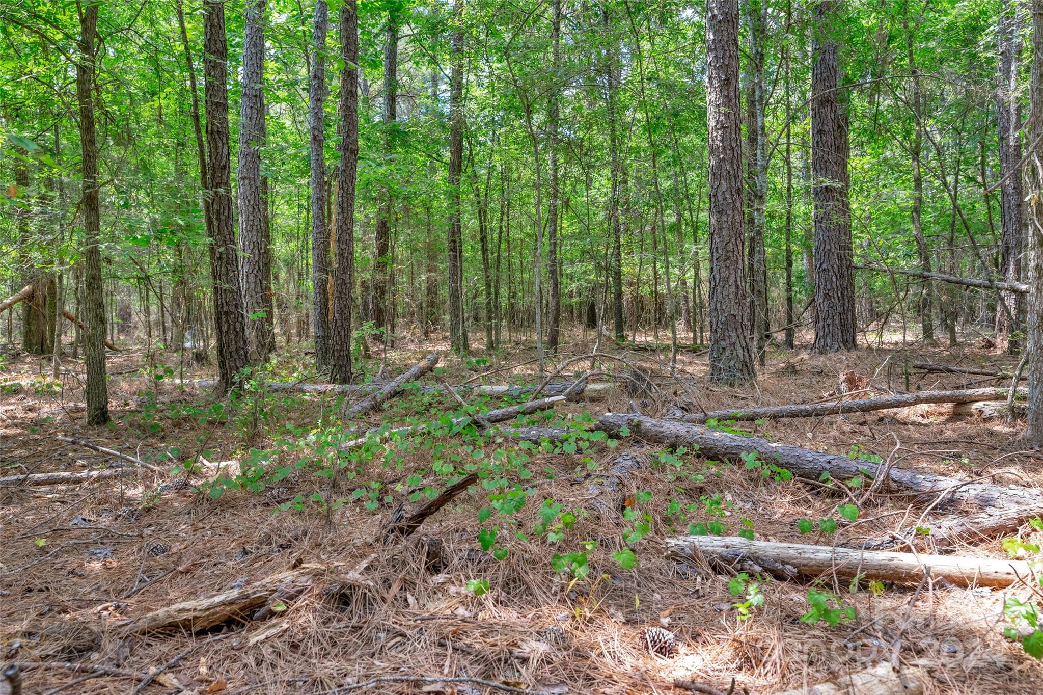 0 William Martin Road, Unit 5 Richburg, SC 29729 - Photo 16 of 30 Gallery Image 16