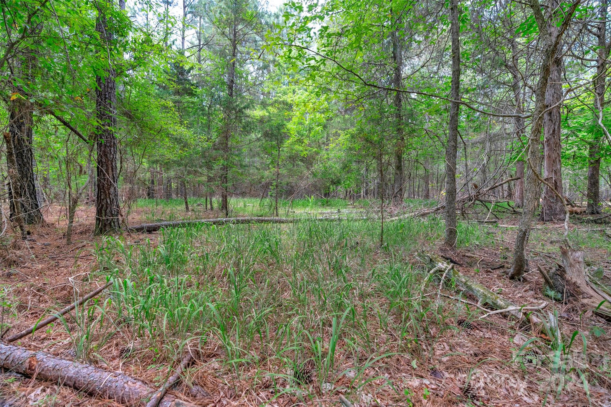 0 William Martin Road, Unit 5 Richburg, SC 29729 - Photo 17 of 30 Gallery Image 17