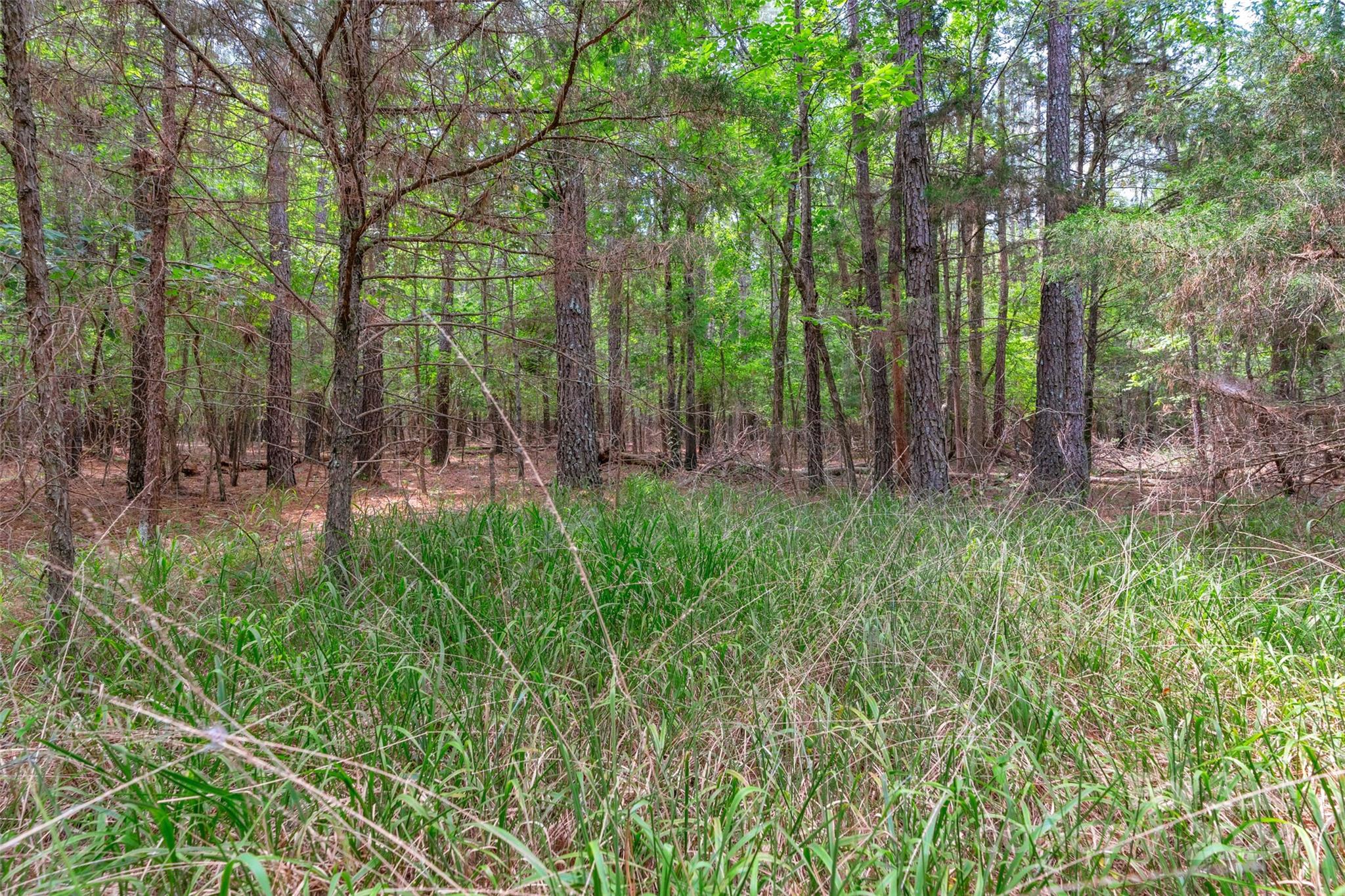 0 William Martin Road, Unit 5 Richburg, SC 29729 - Photo 18 of 30 Gallery Image 18