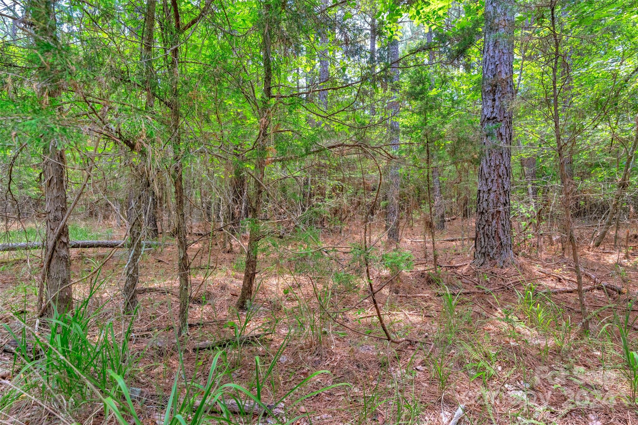 0 William Martin Road, Unit 5 Richburg, SC 29729 - Photo 19 of 30 Gallery Image 19