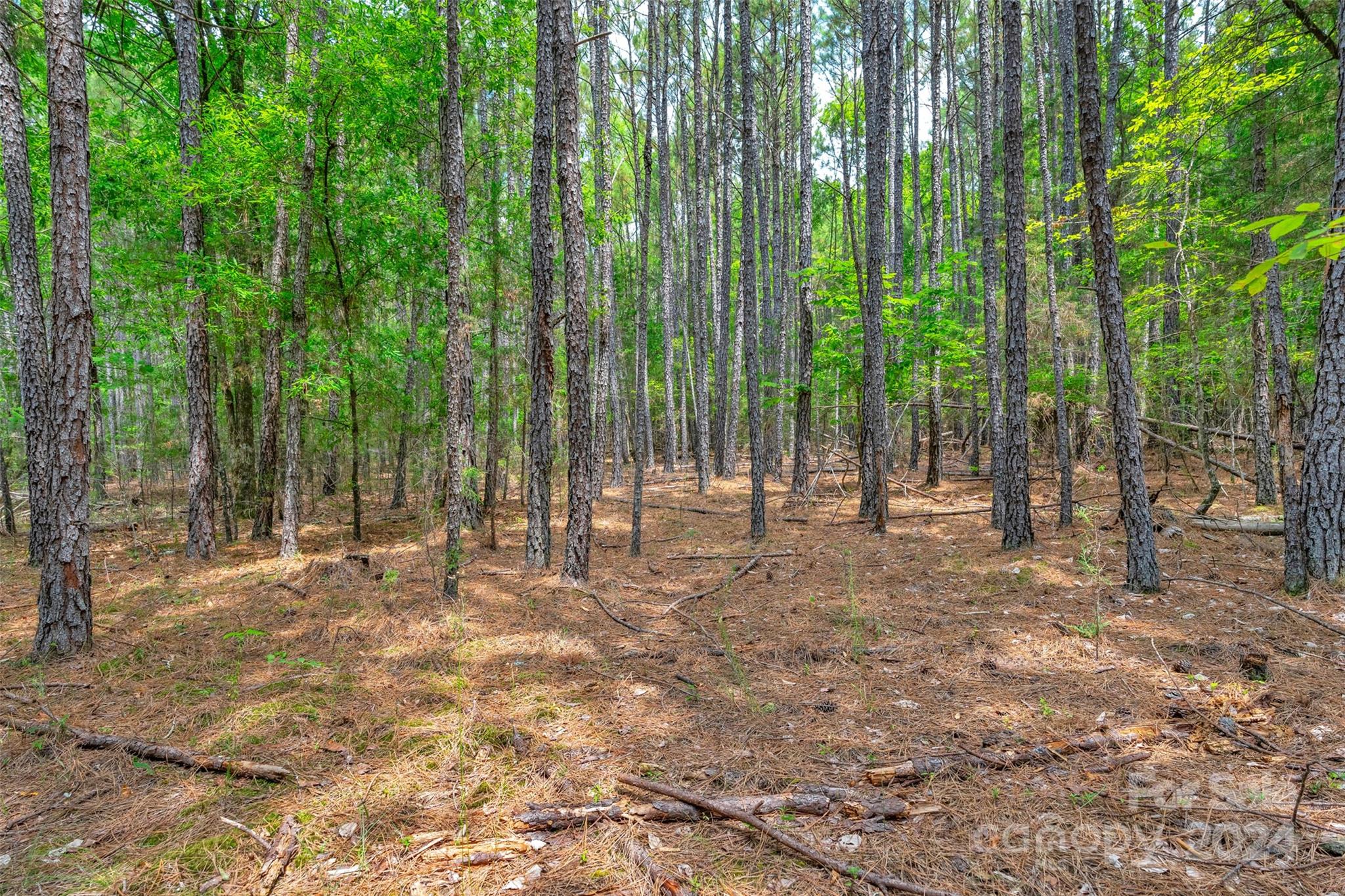 0 William Martin Road, Unit 5 Richburg, SC 29729 - Photo 20 of 30 Gallery Image 20