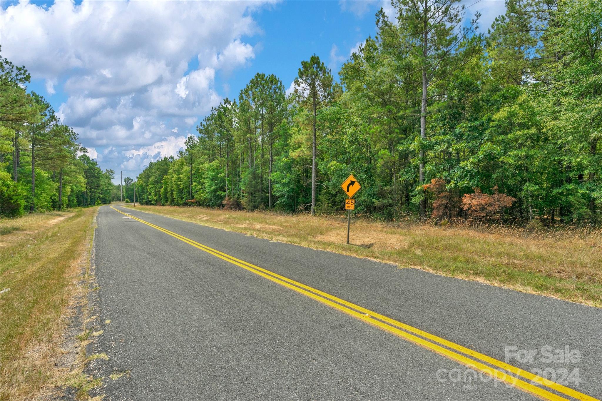 0 William Martin Road, Unit 5 Richburg, SC 29729 - Photo 2 of 30 Gallery Image 2