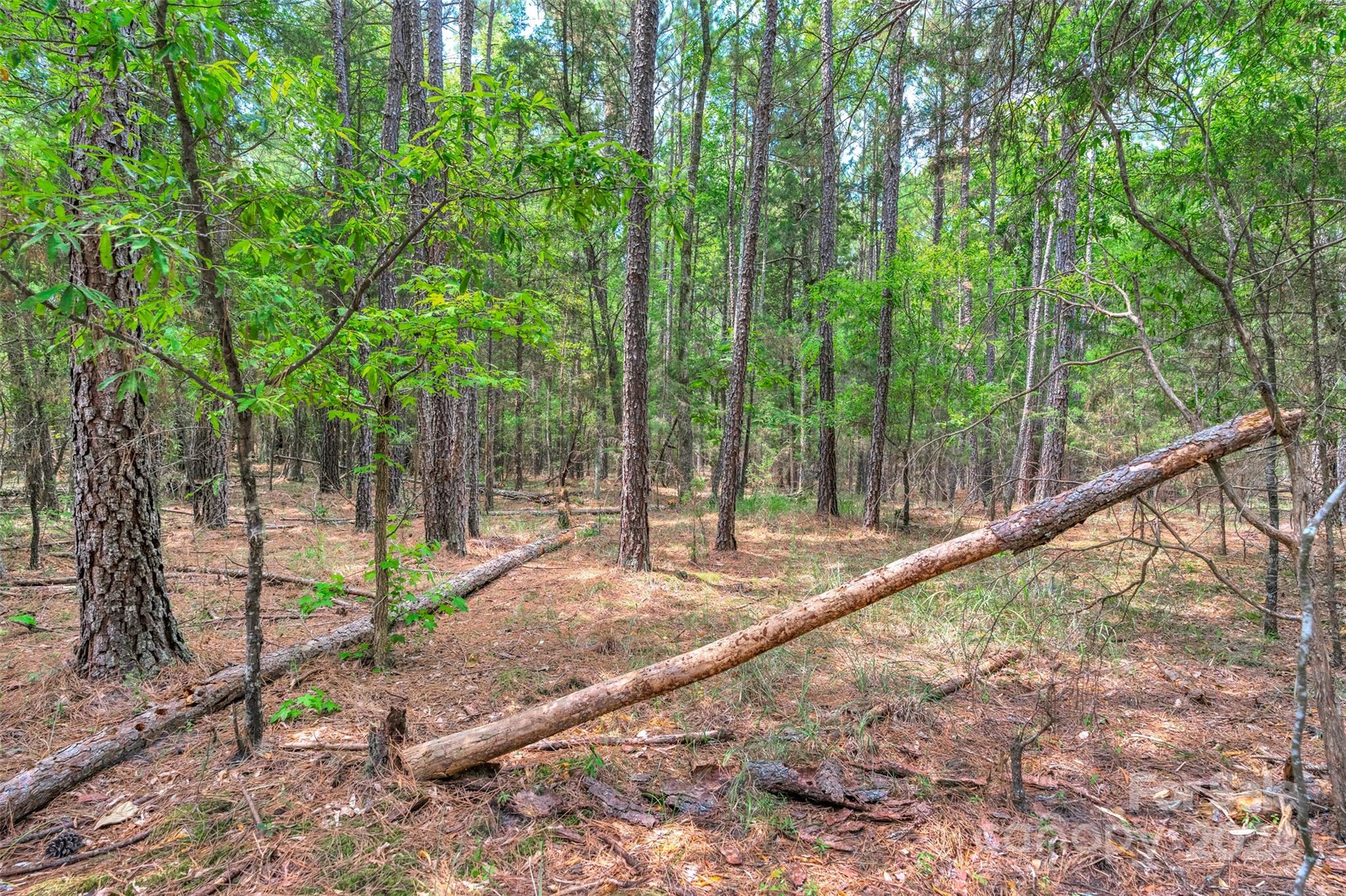 0 William Martin Road, Unit 5 Richburg, SC 29729 - Photo 21 of 30 Gallery Image 21