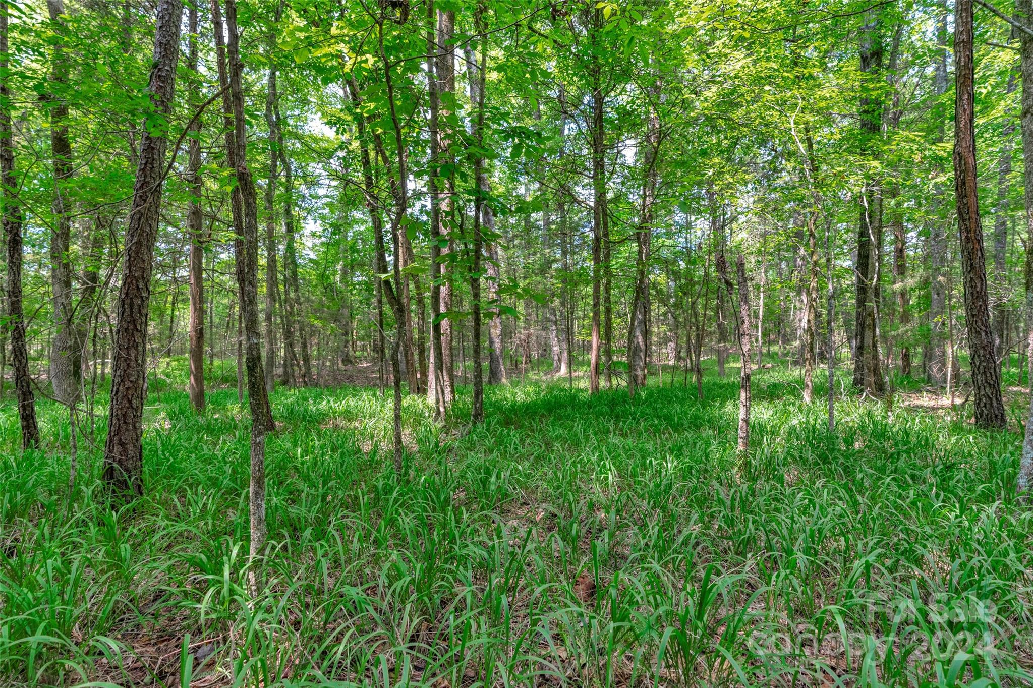 0 William Martin Road, Unit 5 Richburg, SC 29729 - Photo 22 of 30 Gallery Image 22