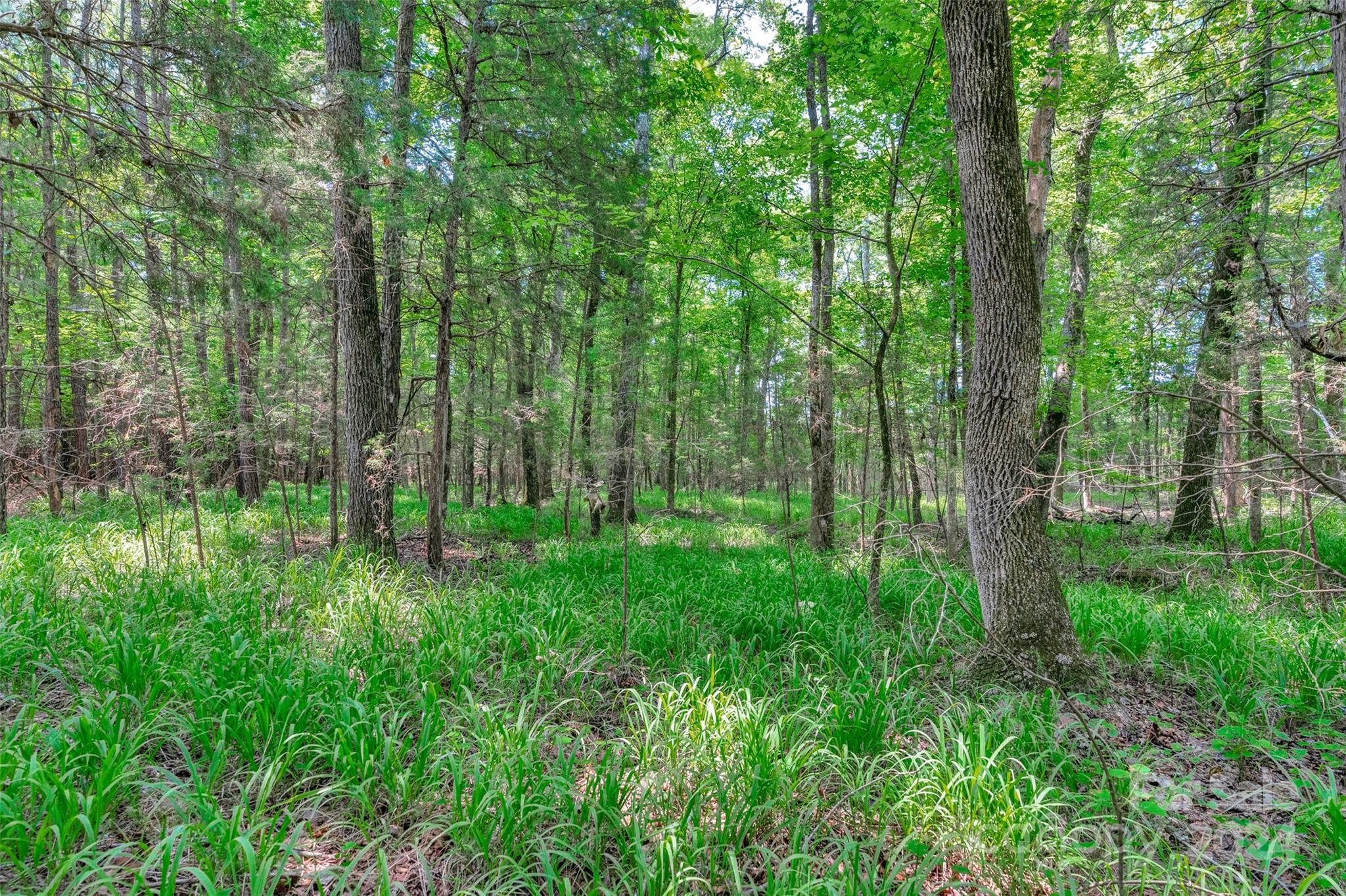0 William Martin Road, Unit 5 Richburg, SC 29729 - Photo 23 of 30 Gallery Image 23