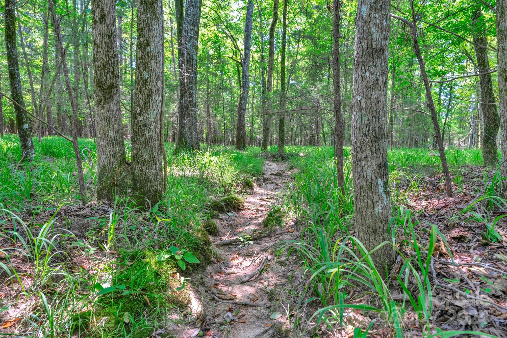 0 William Martin Road, Unit 5 Richburg, SC 29729 - Photo 24 of 30 Gallery Image 24