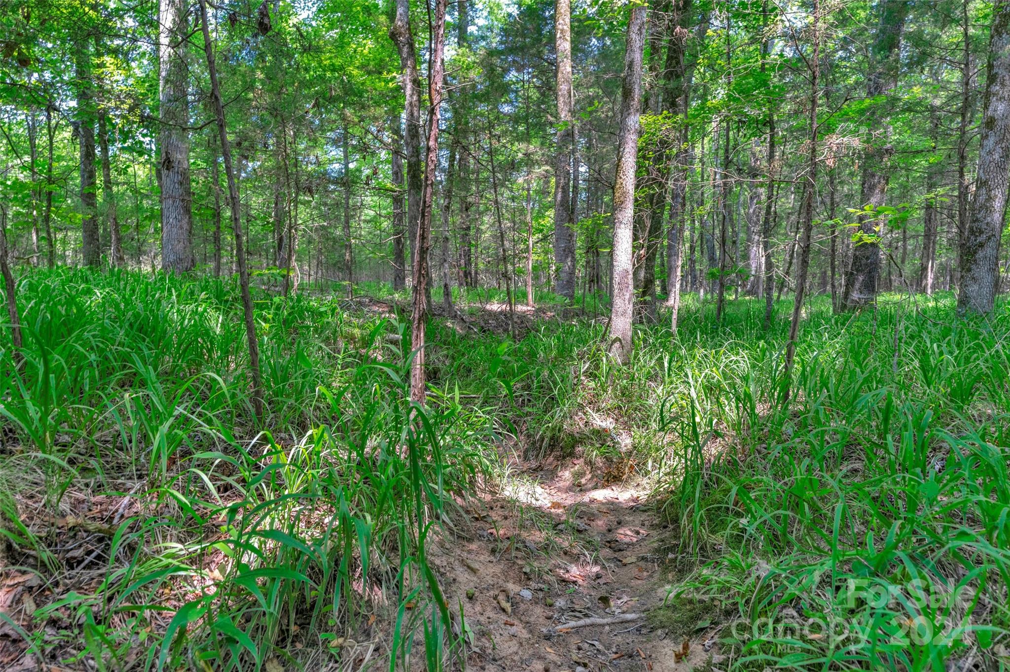 0 William Martin Road, Unit 5 Richburg, SC 29729 - Photo 25 of 30 Gallery Image 25