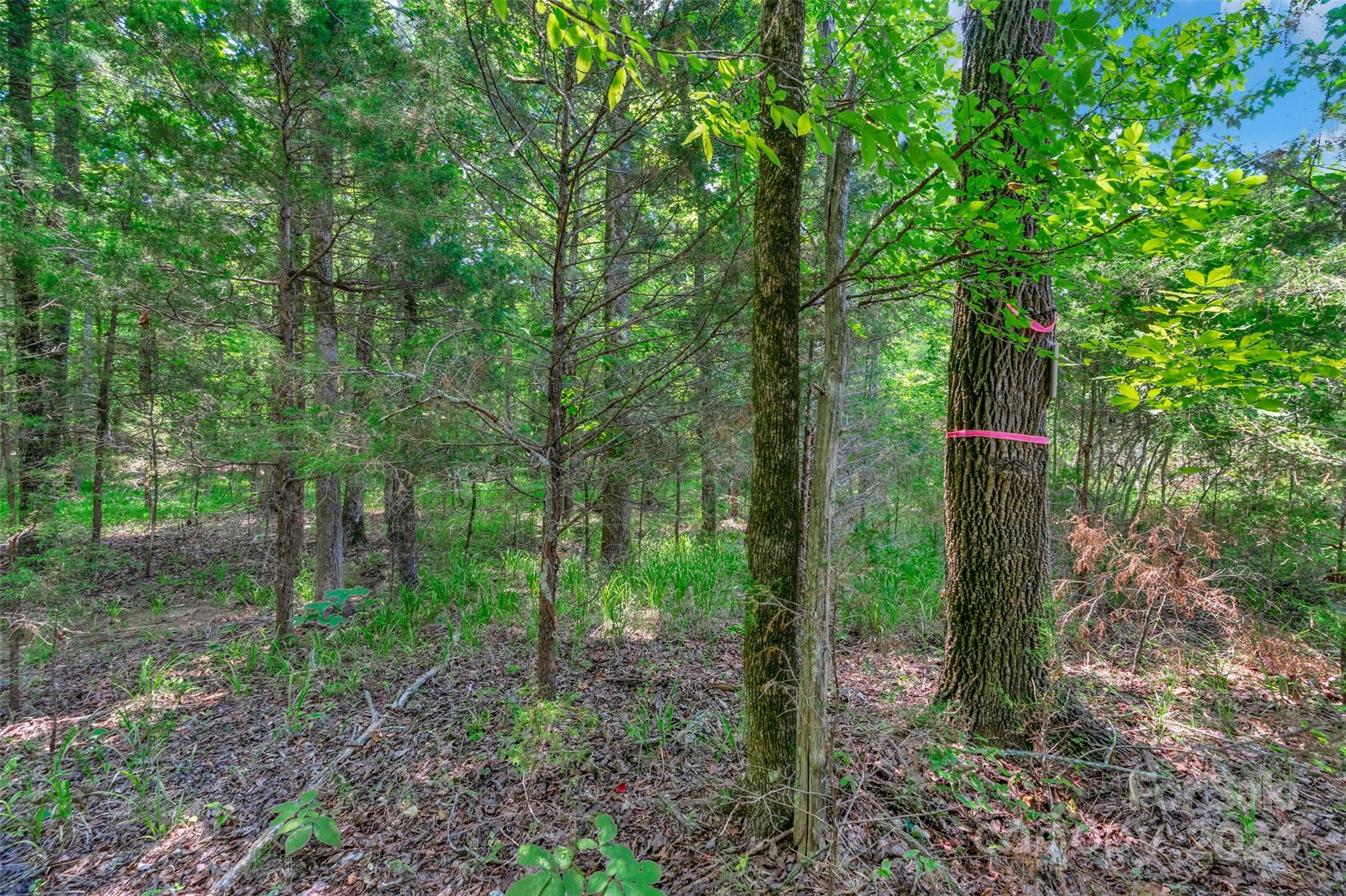 0 William Martin Road, Unit 5 Richburg, SC 29729 - Photo 26 of 30 Gallery Image 26