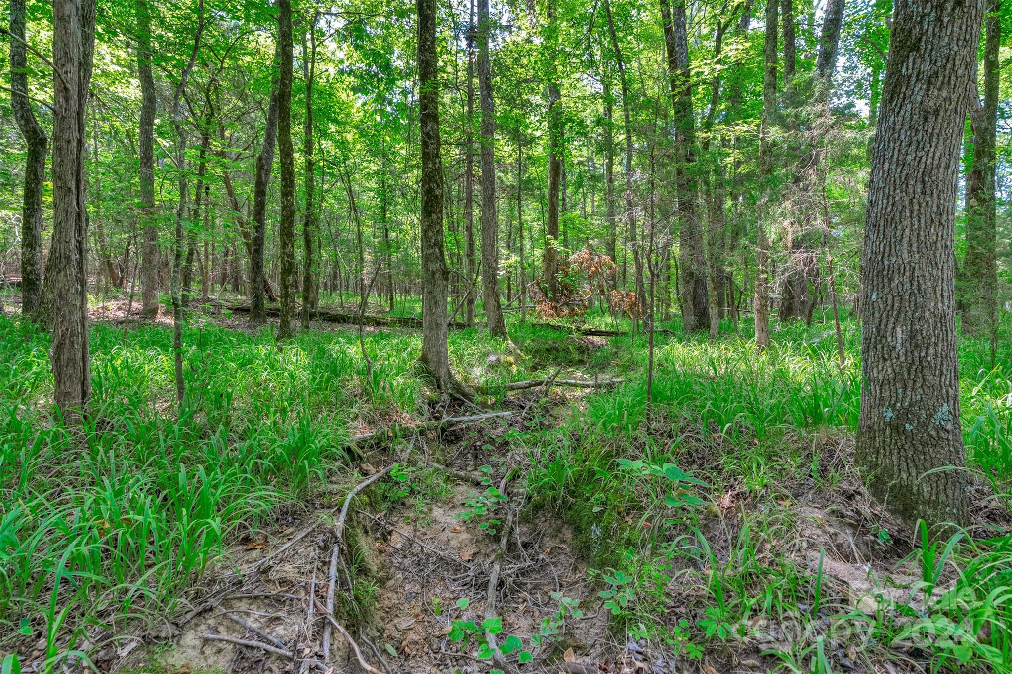 0 William Martin Road, Unit 5 Richburg, SC 29729 - Photo 27 of 30 Gallery Image 27