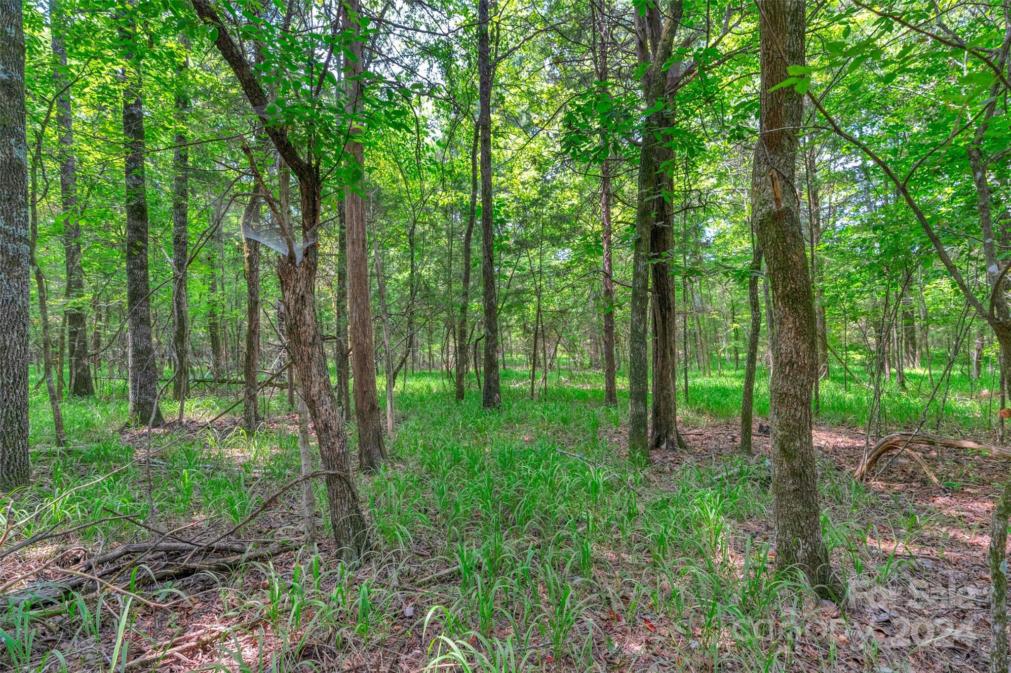 0 William Martin Road, Unit 5 Richburg, SC 29729 - Photo 28 of 30 Gallery Image 28