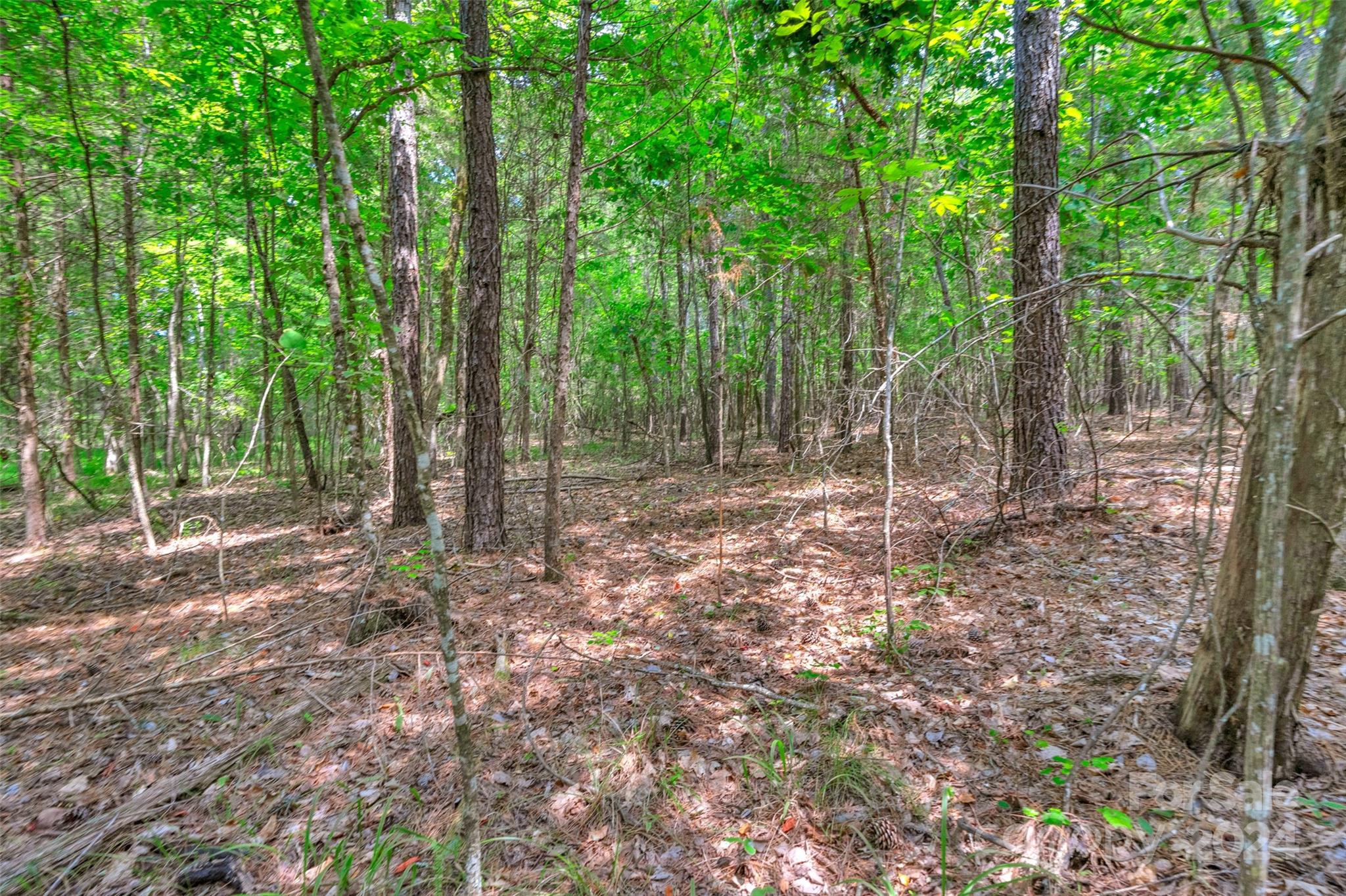 0 William Martin Road, Unit 5 Richburg, SC 29729 - Photo 29 of 30 Gallery Image 29