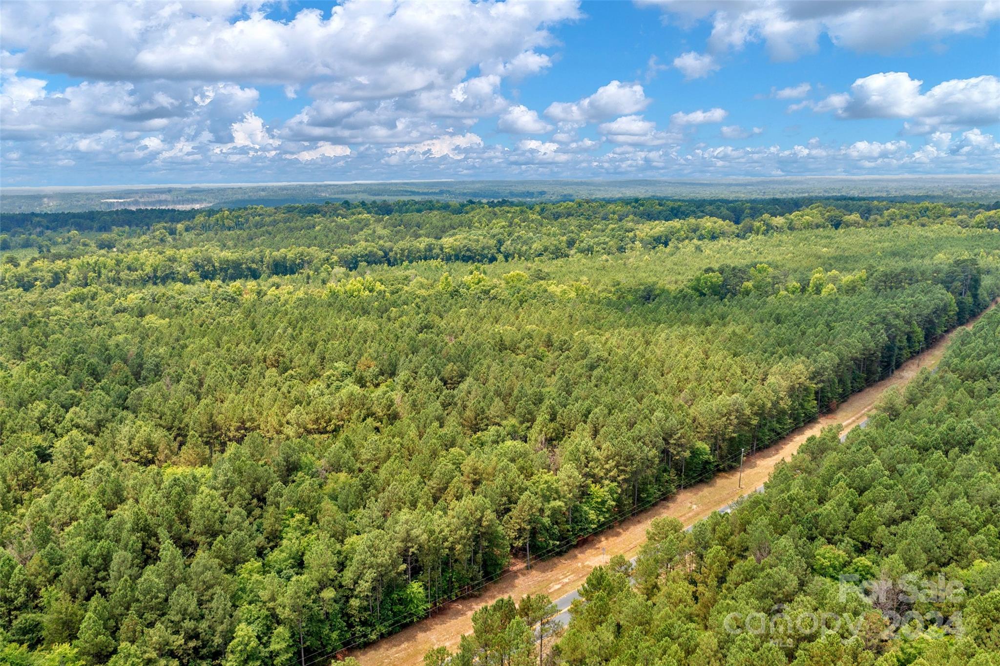 0 William Martin Road, Unit 5 Richburg, SC 29729 - Photo 3 of 30 Gallery Image 3
