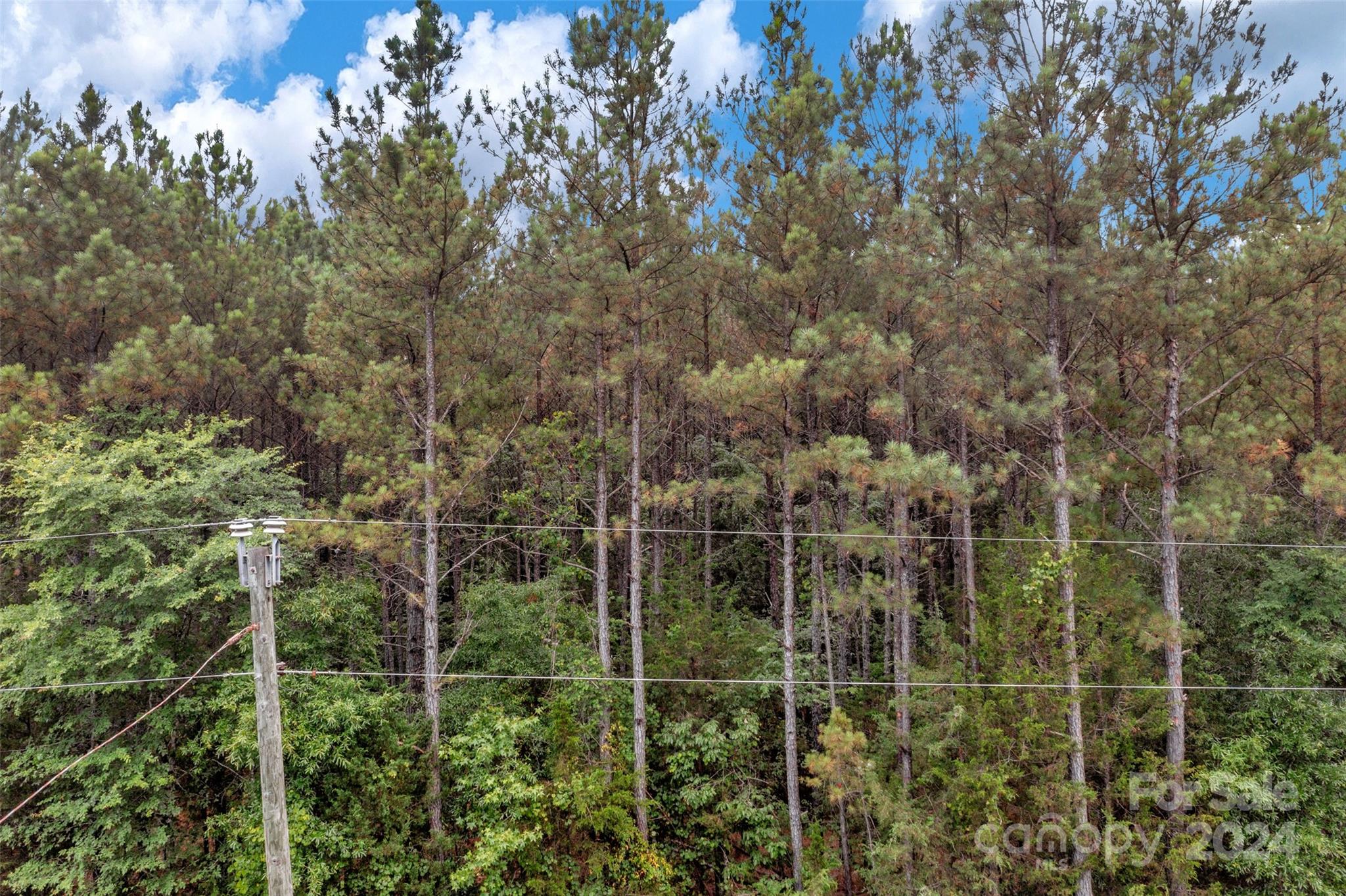 0 William Martin Road, Unit 5 Richburg, SC 29729 - Photo 7 of 30 Gallery Image 7
