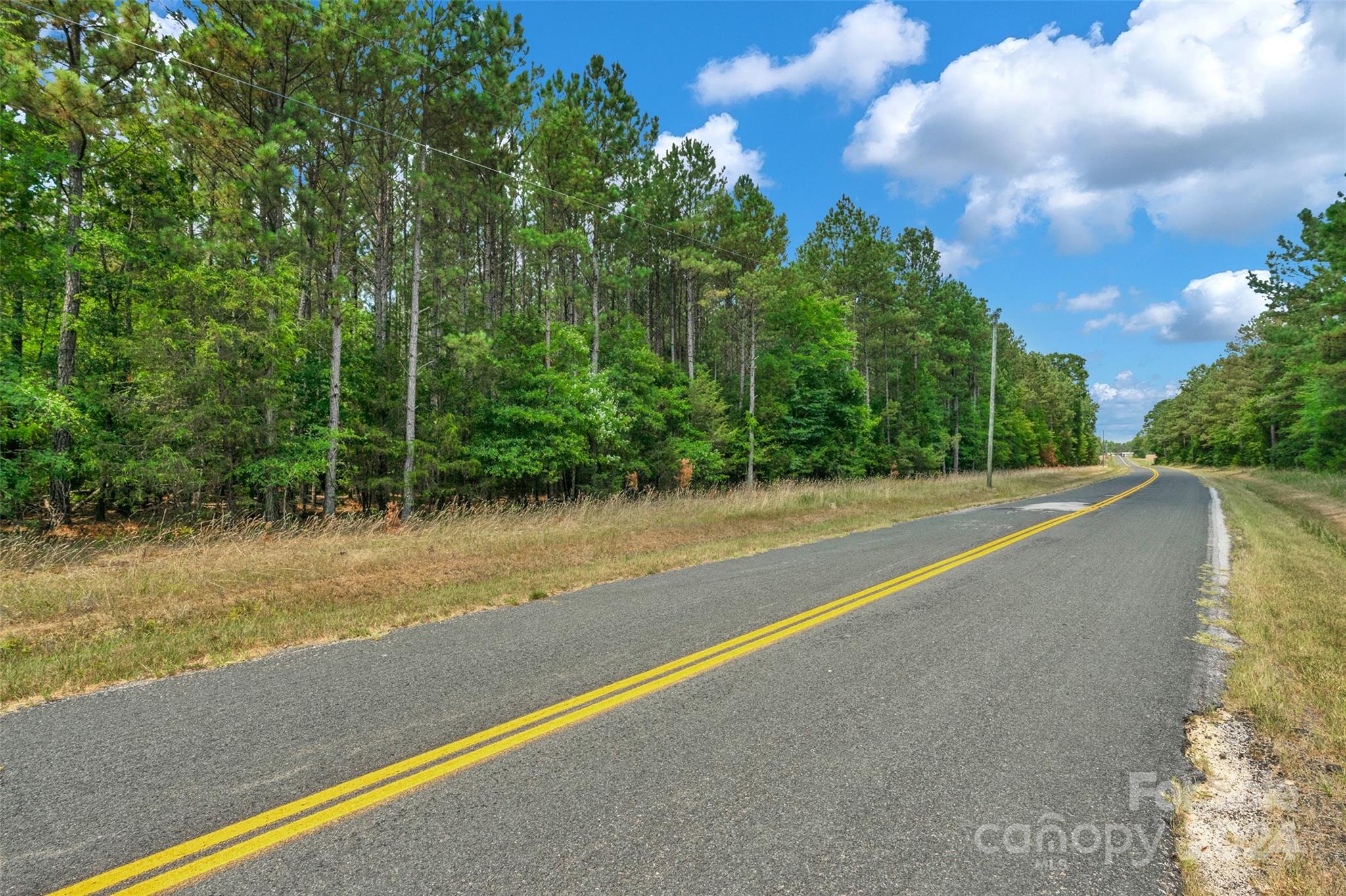 0 William Martin Road, Unit 5 Richburg, SC 29729 - Photo 8 of 30 Gallery Image 8