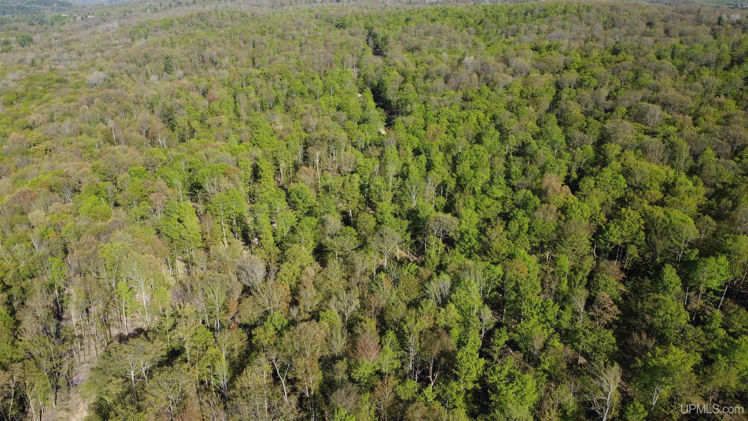 Off Off Hoist Road Negaunee, MI 49866 - Photo 12 of 45