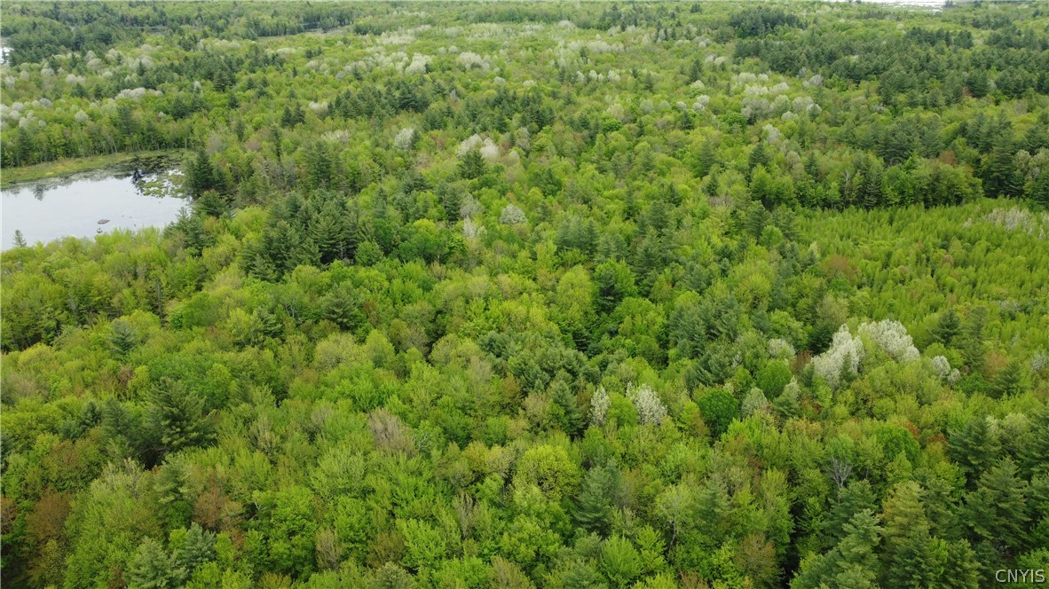 0 Cotton Road Carthage, NY 13619 - Photo 19 of 48