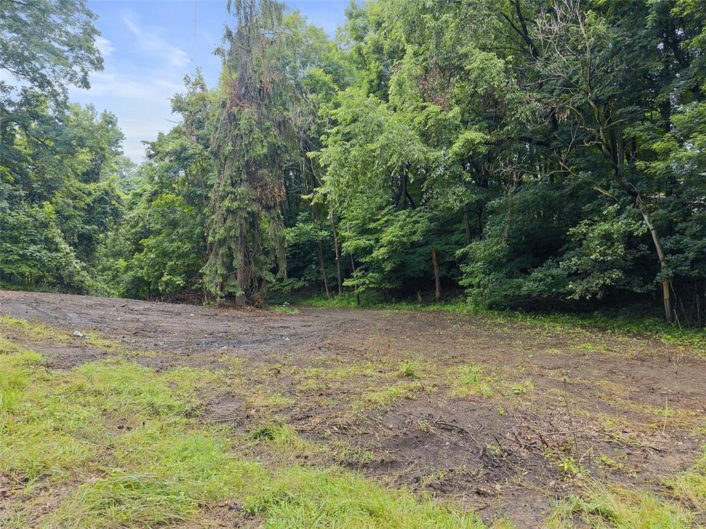 199 Allison Road Shippingport, PA 15077 - Photo 3 of 15 a view of outdoor space with trees