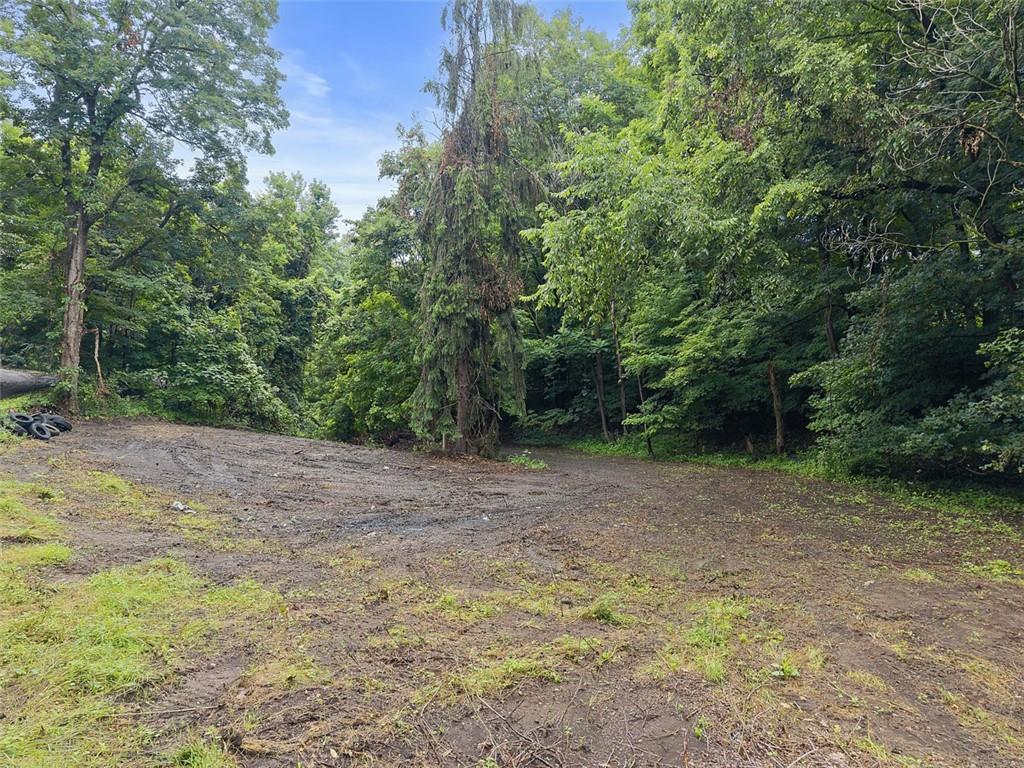 199 Allison Road Shippingport, PA 15077 - Photo 4 of 15 a view of a yard with a trees