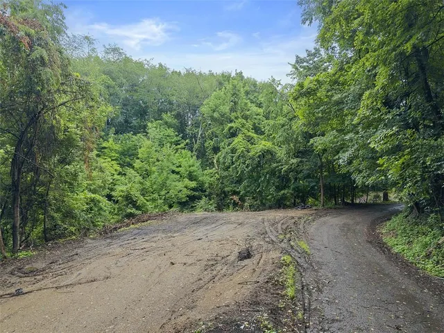 a view of a dry yard with lots of trees