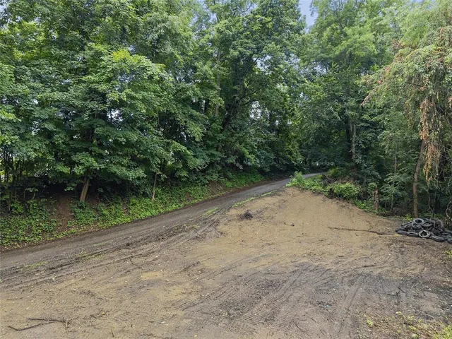 a view of a dirt road with trees in the background