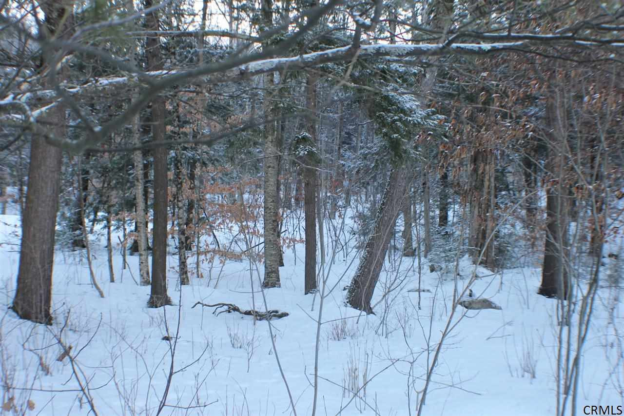 1107 Kathan Road Day, NY 12822 - Photo 6 of 7 Photo 6