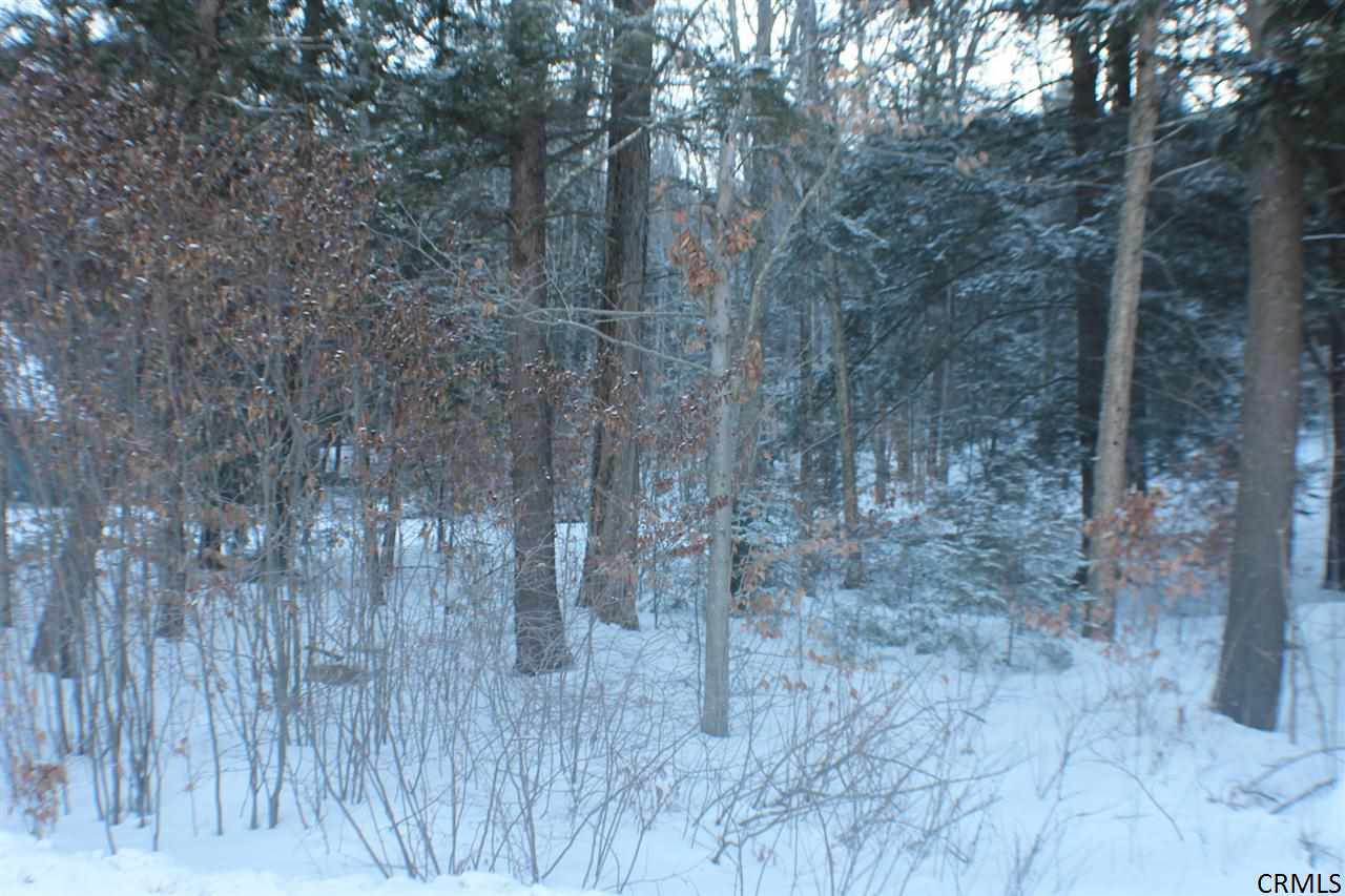 1107 Kathan Road Day, NY 12822 - Photo 7 of 7 Photo 7