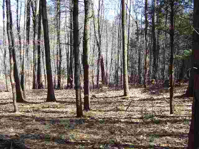 16 Young Road Greenfield, NY 12850 - Photo 10 of 12 Photo 10