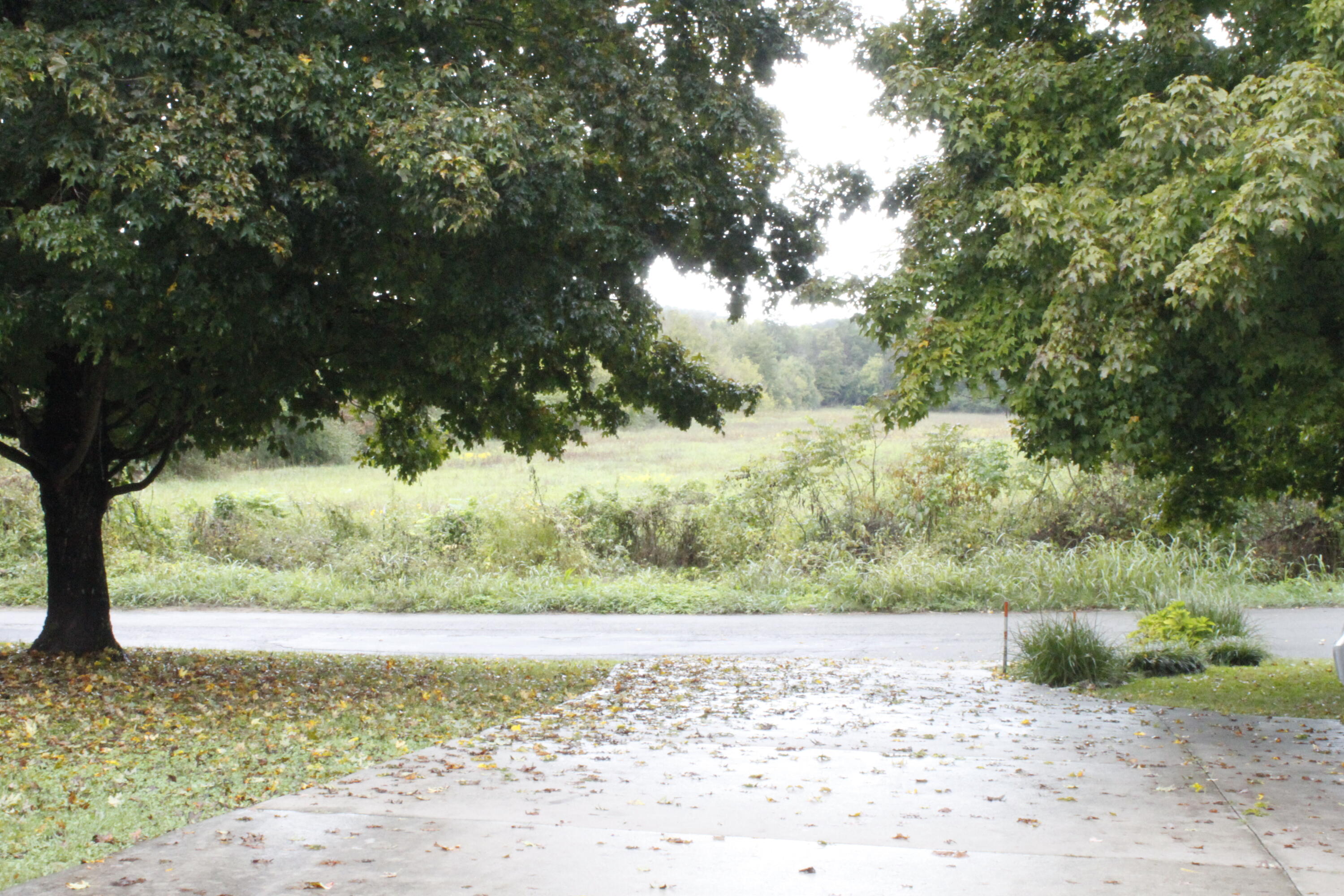 9438 Graves Road Maynardville, TN 37807 - Photo 12 of 14 Driveway