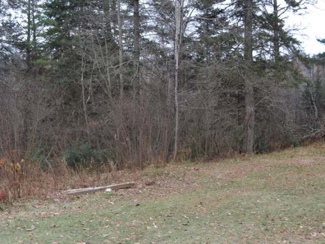 7175 Fire Tower Road Rhinelander, WI 54501 - Photo 10 of 20 Gallery Image 10