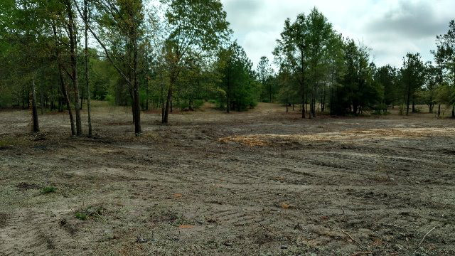 665 Windsor Road Windsor, SC 29856 - Photo 5 of 11
