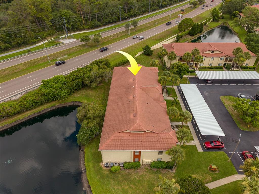 1801 East Lake Road South, Unit 20G Palm Harbor, FL 34685 - Photo 47 of 51