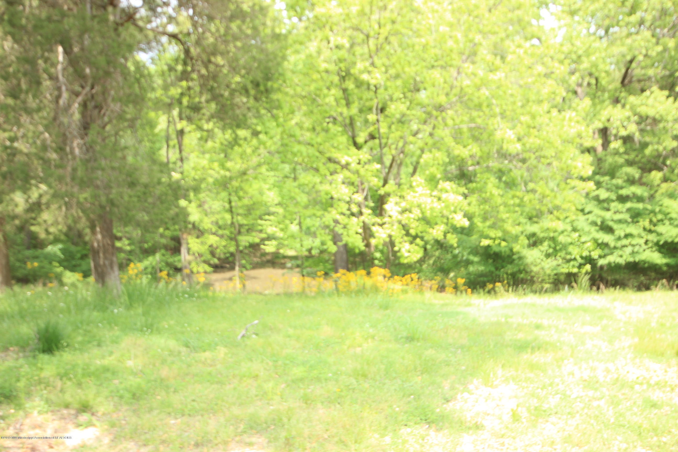 2172 Grays Creek Road Hernando, MS 38632 - Photo 22 of 23 IMG_8142