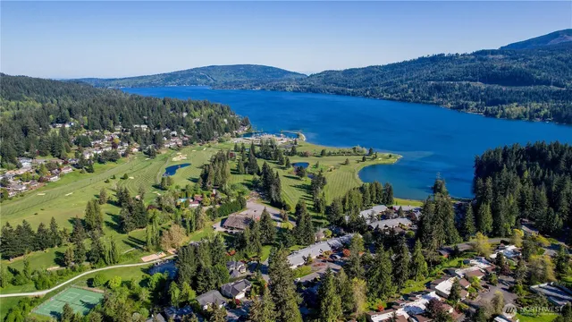 a view of a lush green hillside and houses