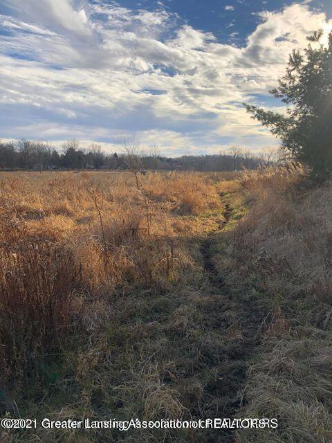 0 Wright Road Leslie, MI 49251 - Photo 40 of 41 40