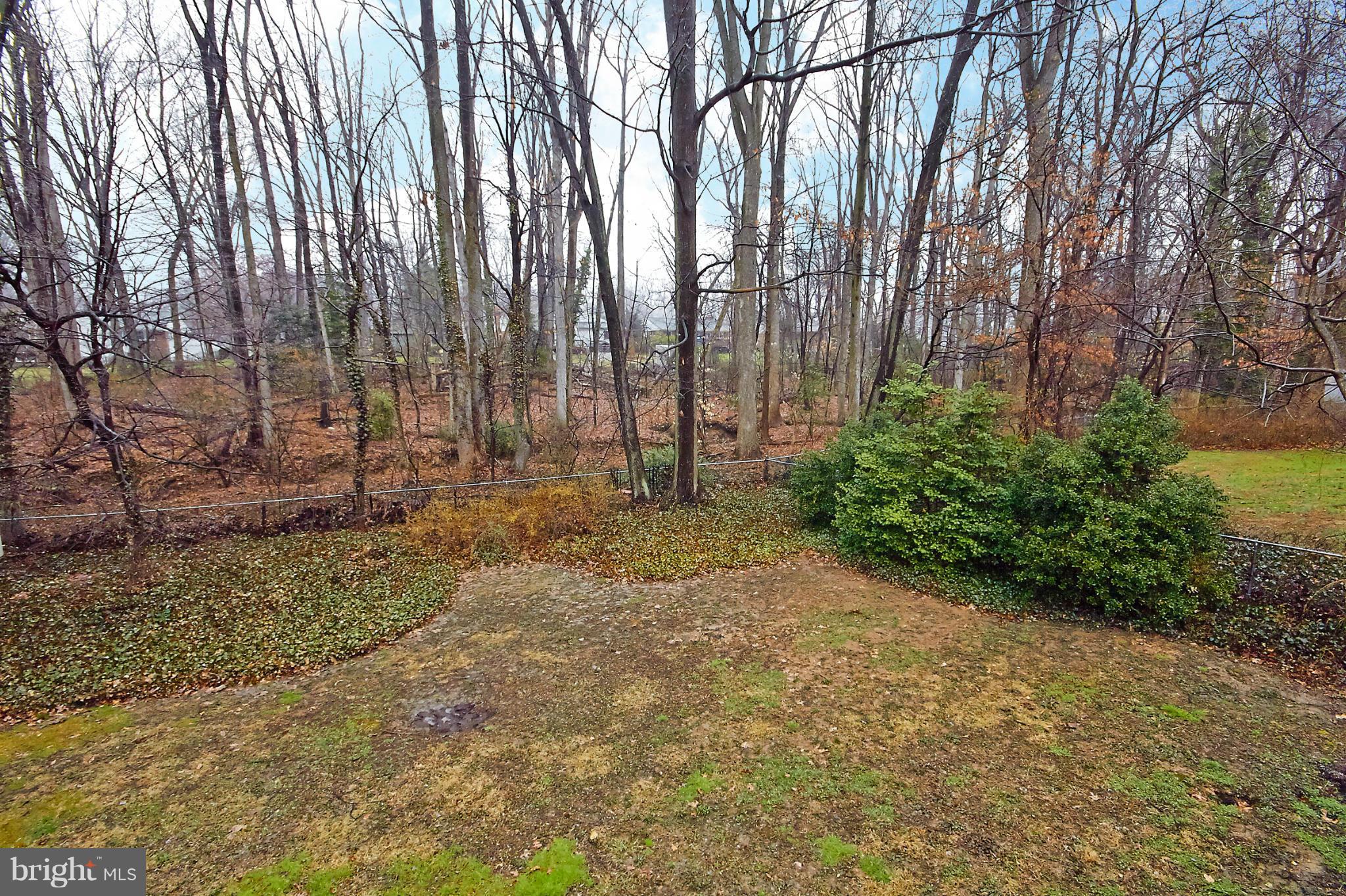 7614 Elgar Street Springfield, VA 22151 - Photo 29 of 30 Secluded Yard Surrounded By Parkland