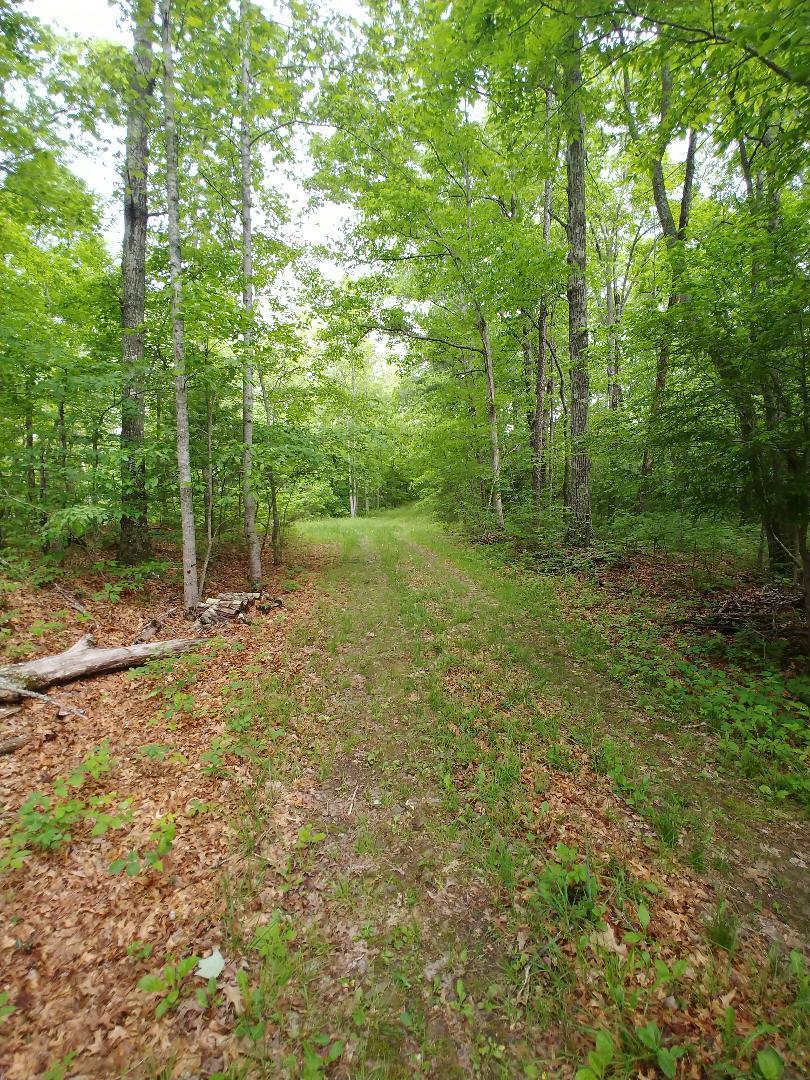 197 Brewstertown Road Sunbright, TN 37872 - Photo 1 of 22 5