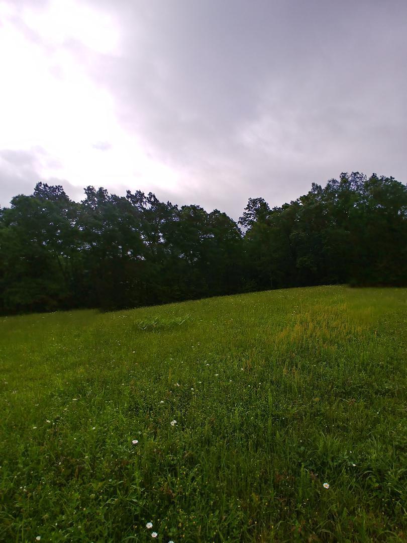197 Brewstertown Road Sunbright, TN 37872 - Photo 12 of 22 6