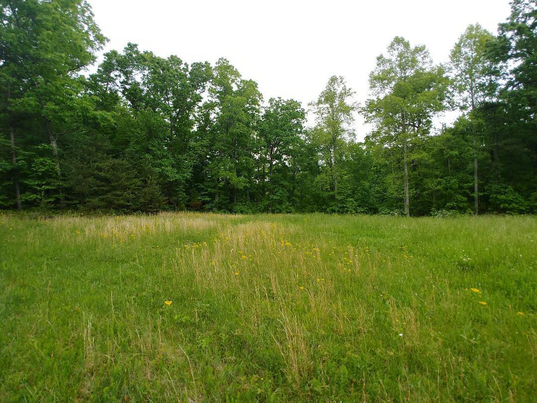 197 Brewstertown Road Sunbright, TN 37872 - Photo 13 of 22 4