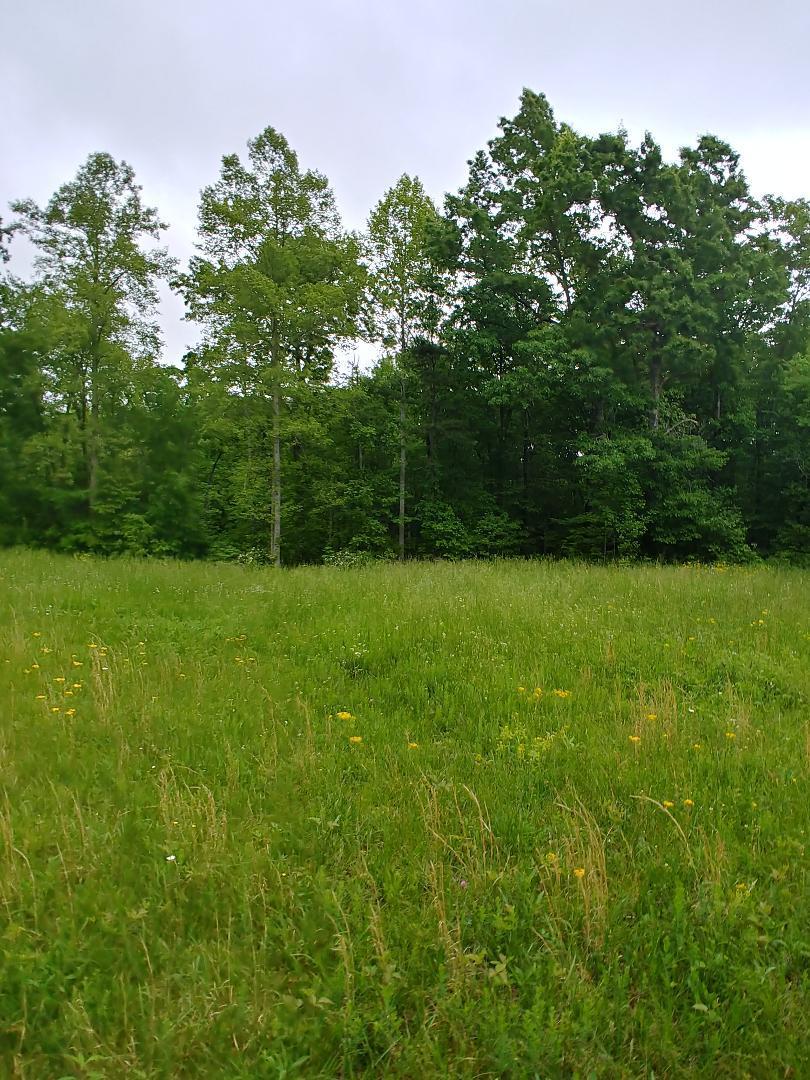 197 Brewstertown Road Sunbright, TN 37872 - Photo 14 of 22 3
